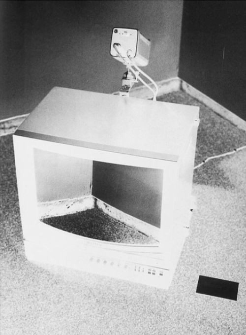 bruce_nauman_tv_02_neg